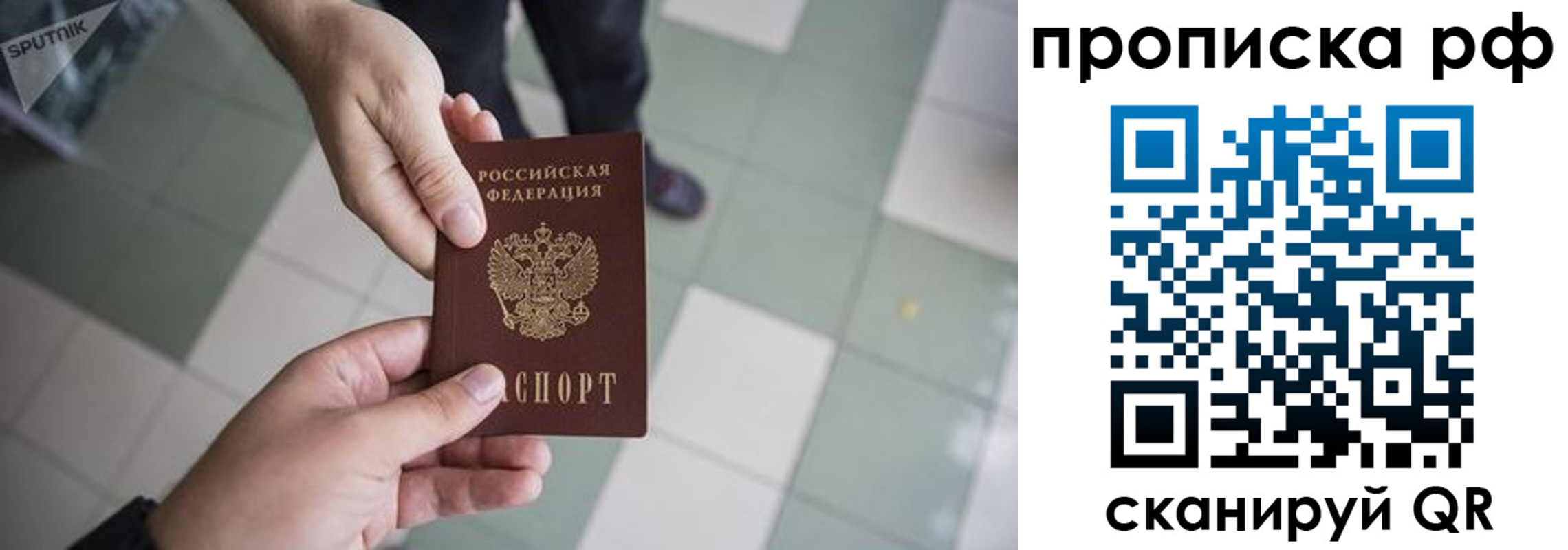 прописка гарантия в Сосновом Бору